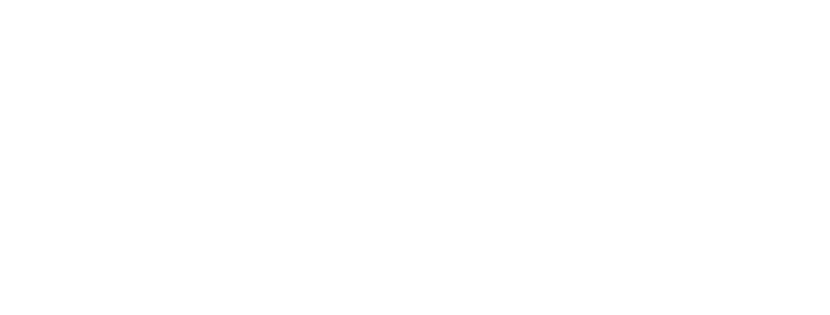 Felicia Turan Logo